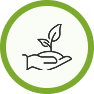 A seedling growing from an outstretched hand, representing growth and opportunity
